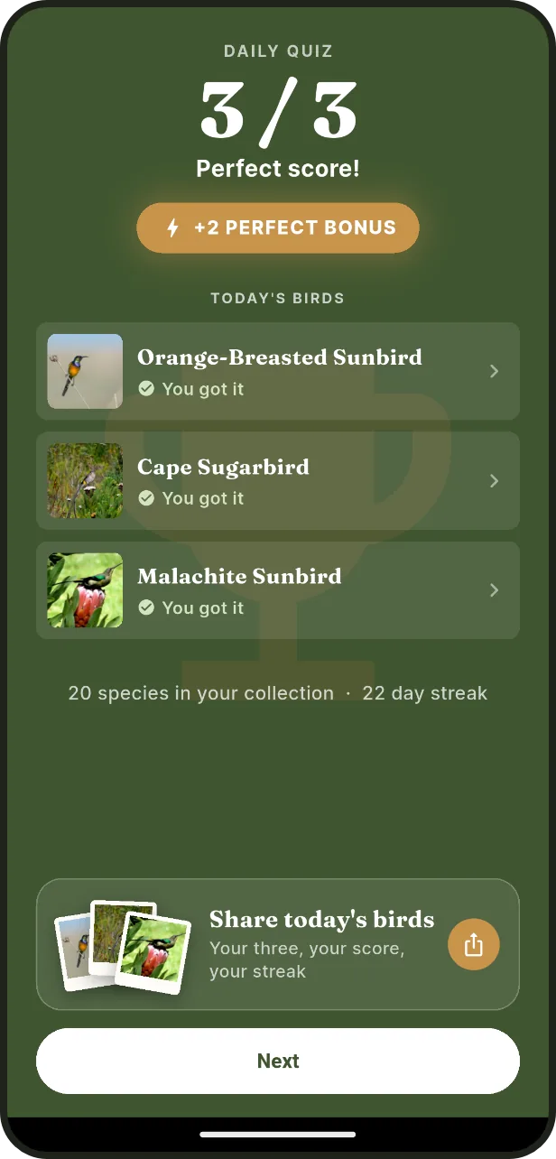 Build a daily streak: A perfect day earns a bonus. Share it with a friend.