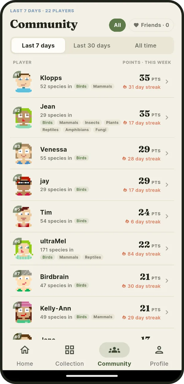 Play alongside friends: See who's keeping their streak, and what they're learning.