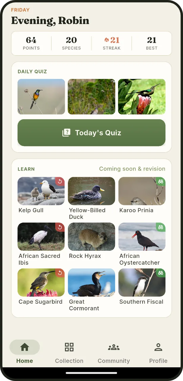 Three birds a day: From the species that live around you, most common first.