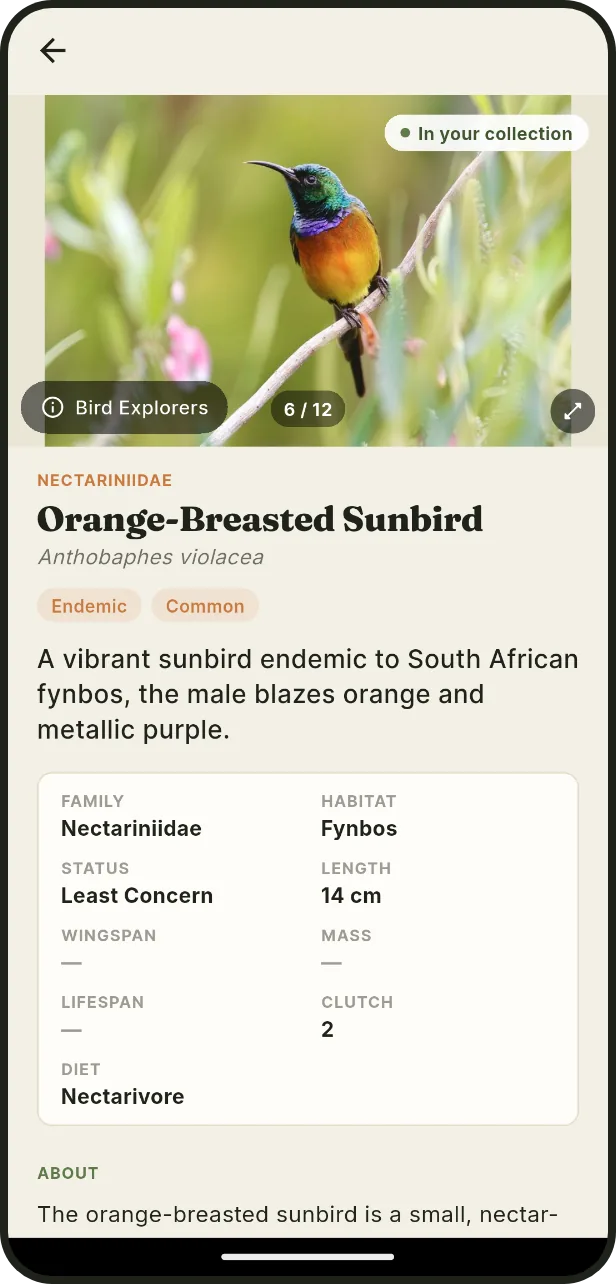 Every species, explained: Photos, habitat, size and a proper write-up.