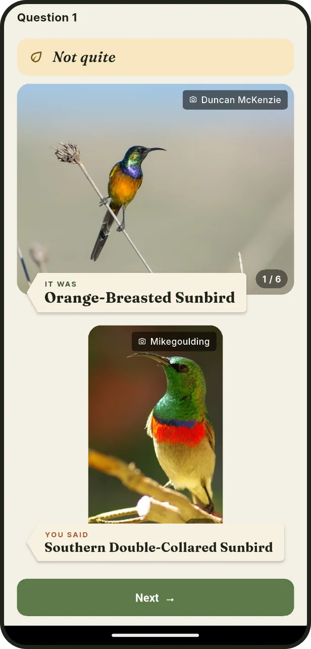 Wrong? See both birds: The reveal puts your guess next to the right answer.
